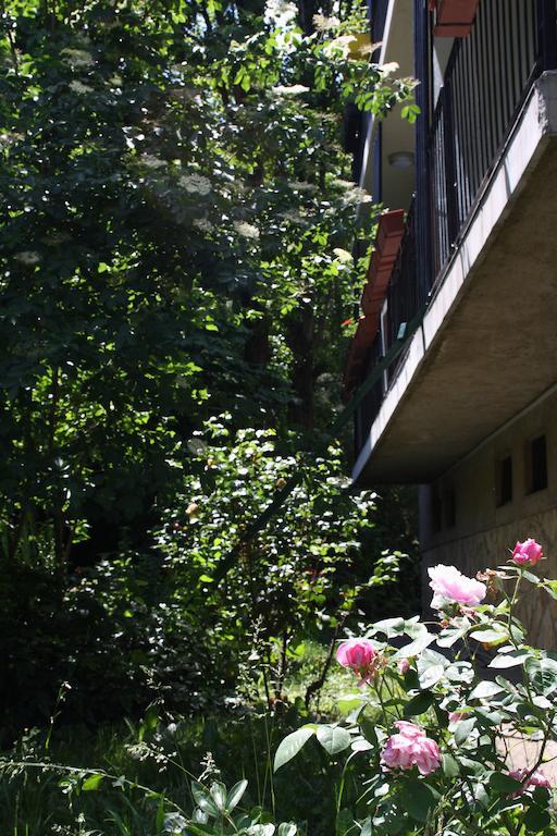 Highland Apartment 부다페스트 객실 사진